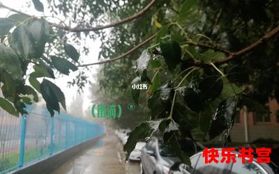 下雨的日子最新章节_下雨的日子(免费阅读)漫画全文阅读无弹窗