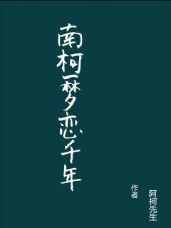 《白夜玲珑》小说 - 《白夜玲珑》小说在线